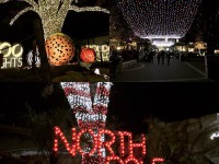 Christmas lights at the San Antonio Zoo