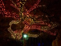 San Antonio Zoo Lights 2016 10 200x150 