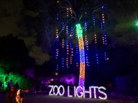 San Antonio Zoo Lights 2016 2 200x150 