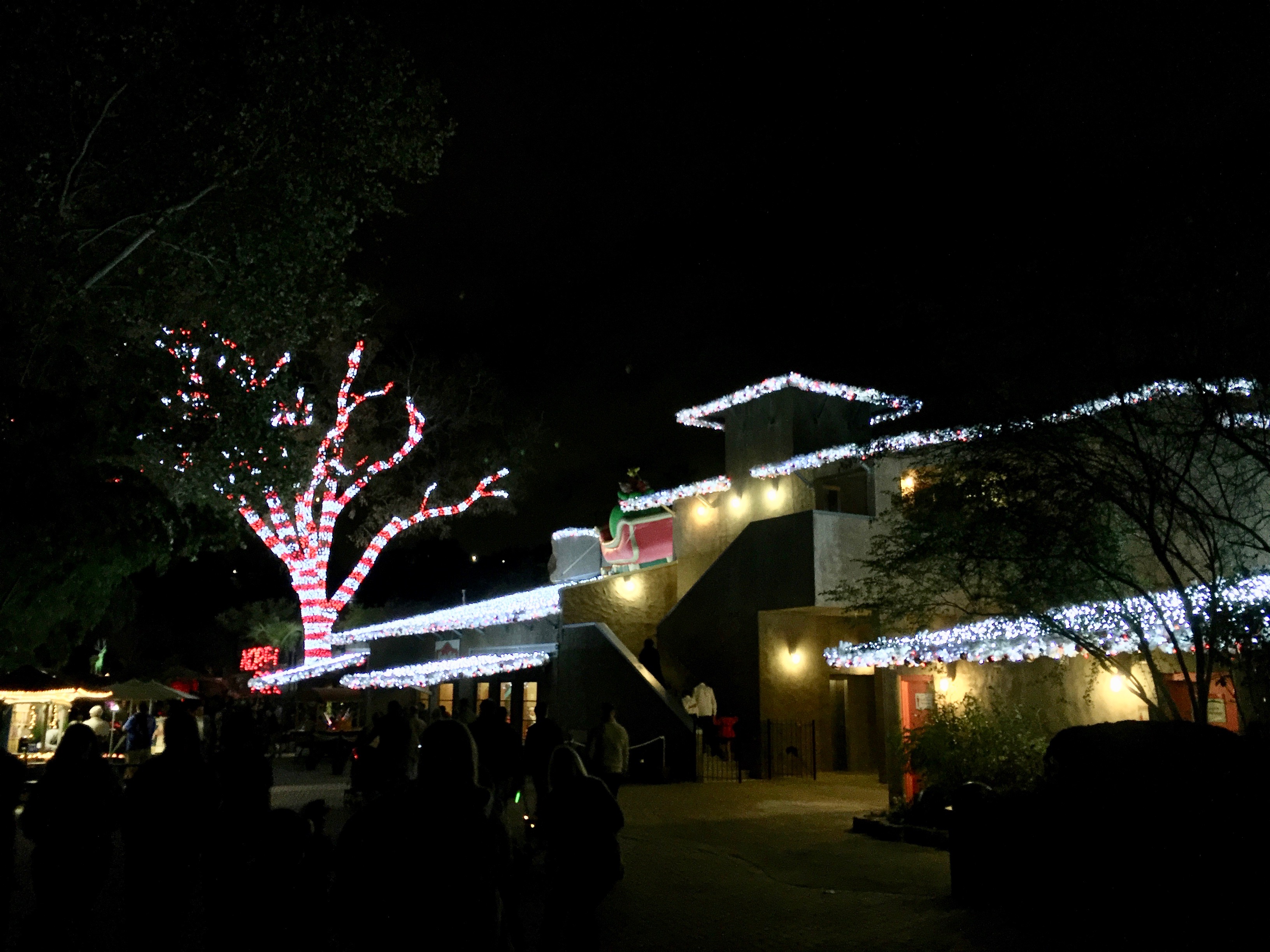 San Antonio Zoo Lights 2016 24 