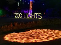 San Antonio Zoo Lights 2016