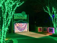 San Antonio Zoo Lights 2016 31 200x150 