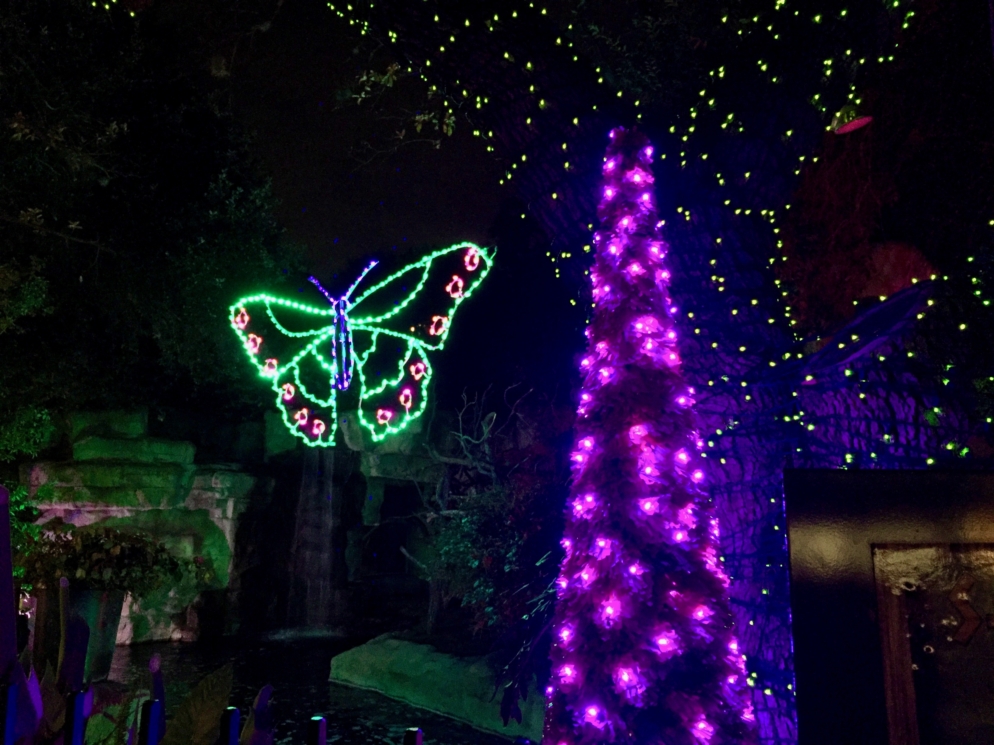 San Antonio Zoo Lights 2016 37 