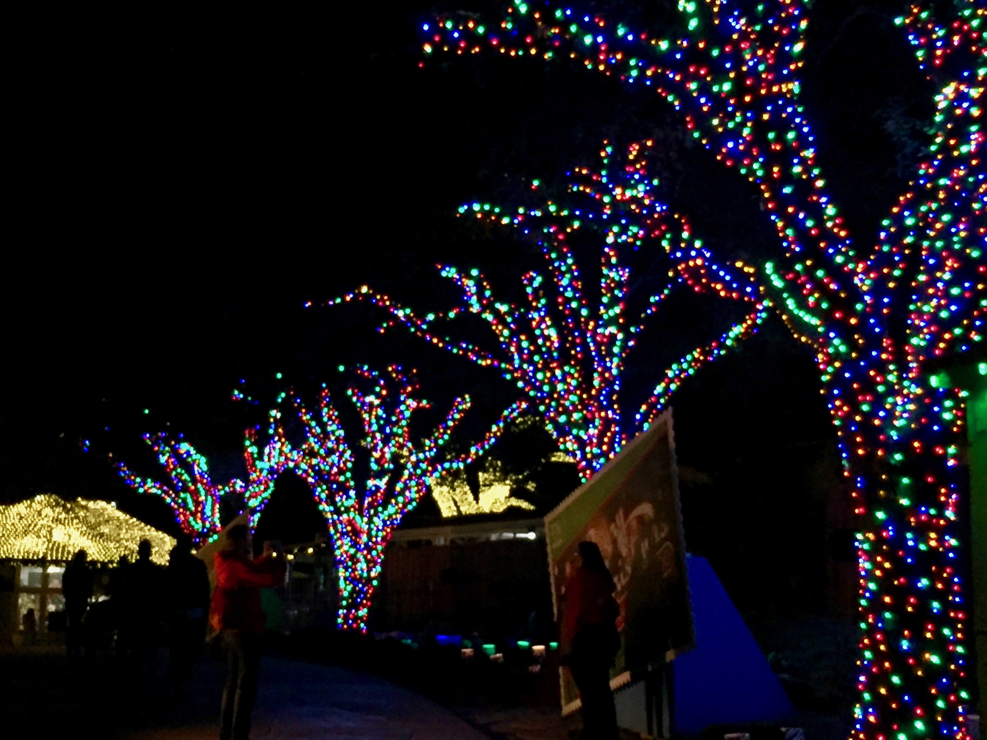 San Antonio Zoo Lights 2016 38 
