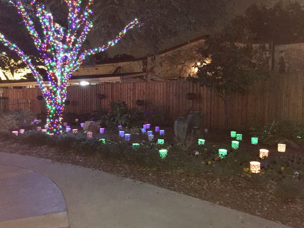 San Antonio Zoo Lights 2016 39 1024x768 