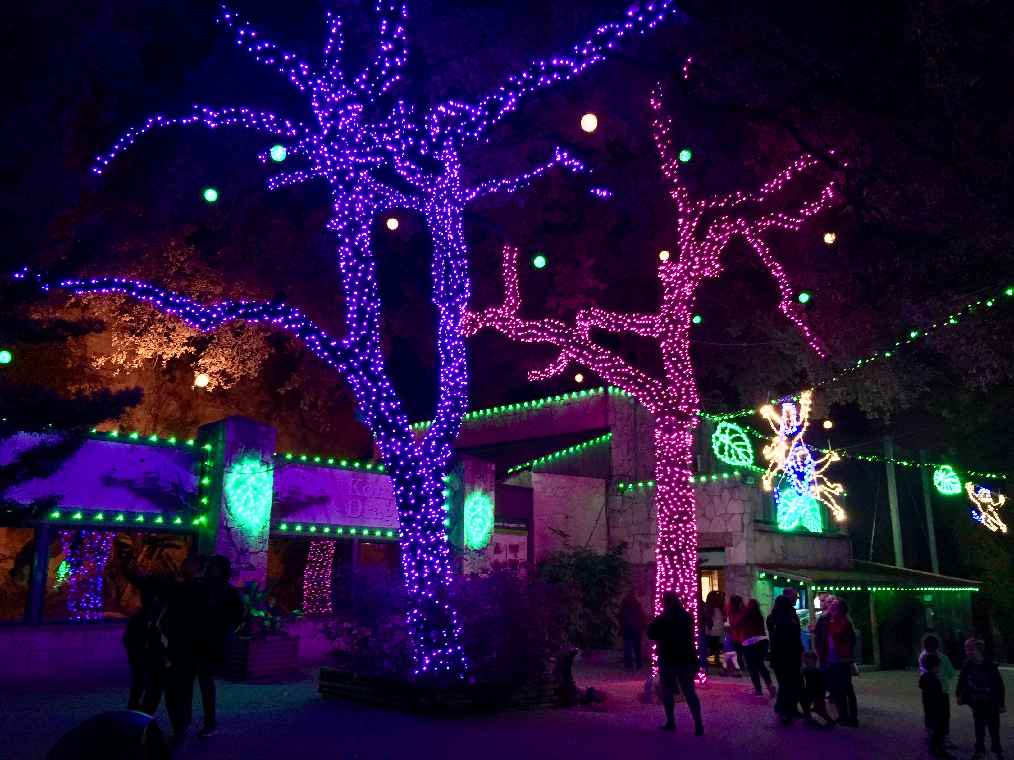 San Antonio Zoo Lights 2016 6 